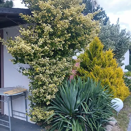 Кемпинг 13-nastka *