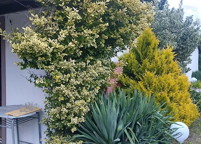 Kamp alanı 13-nastka *